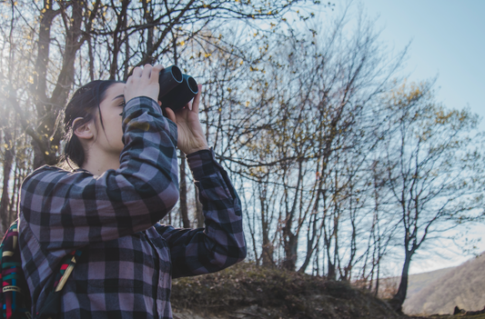 On my insights into binoculars use